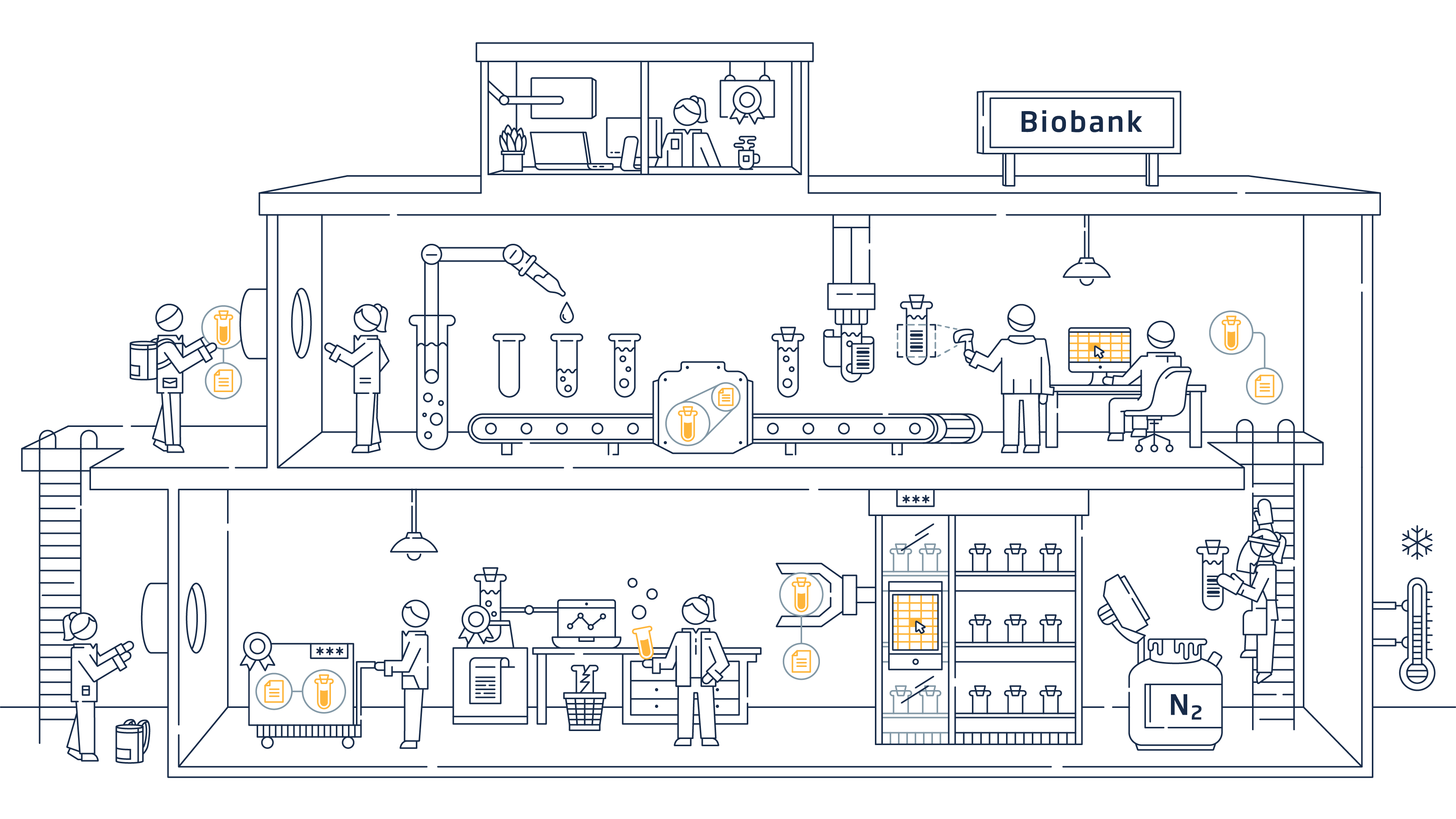 Biobank Infografik