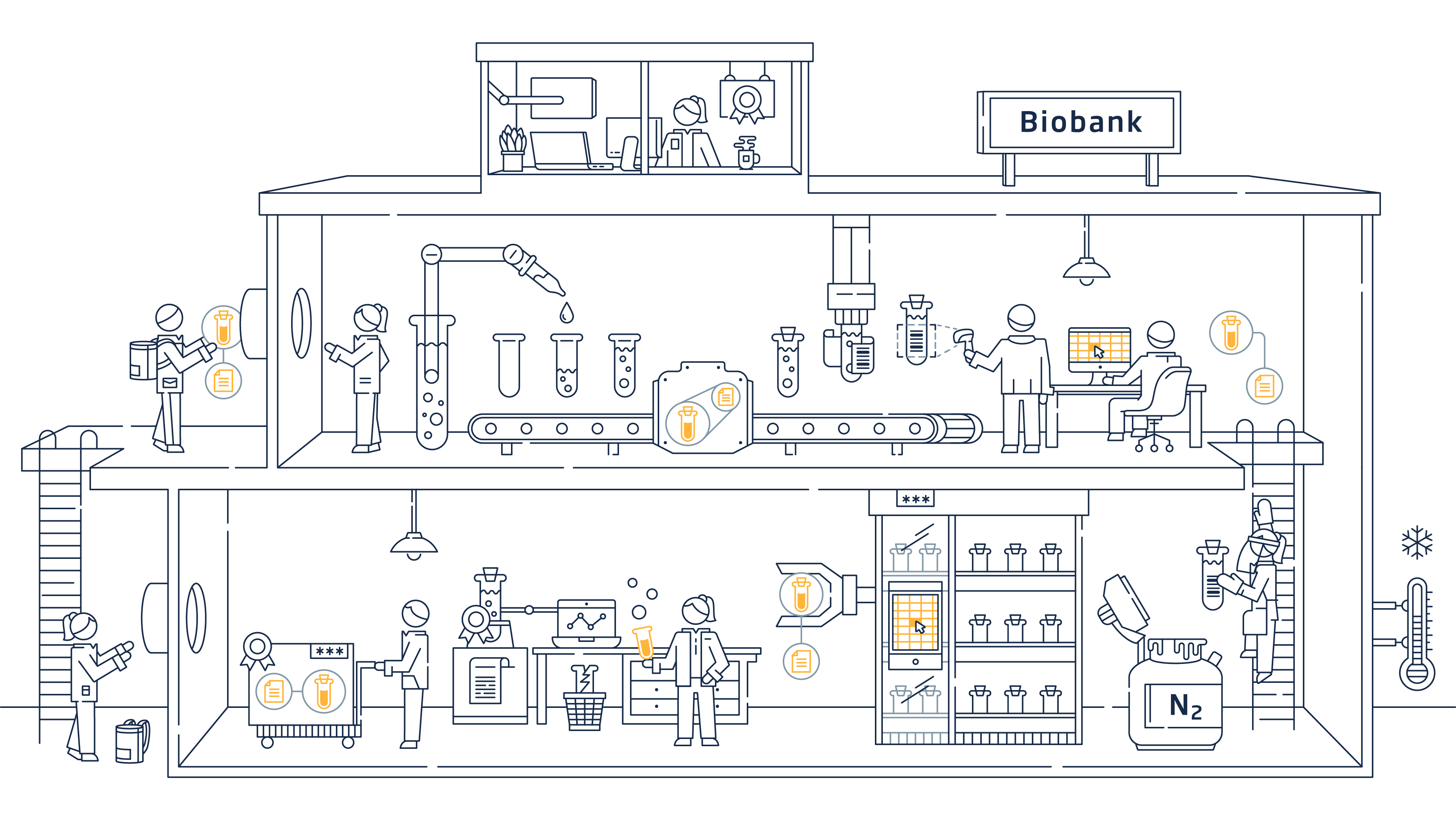 Biobank Infografik